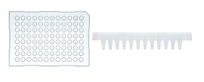 plus stone様❣️専用ページ 0.1ml Low Profile qPCR 96 Well Plate (Sub-Semi Skirted)-MB